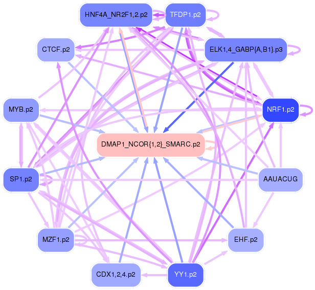 PNG image of the network